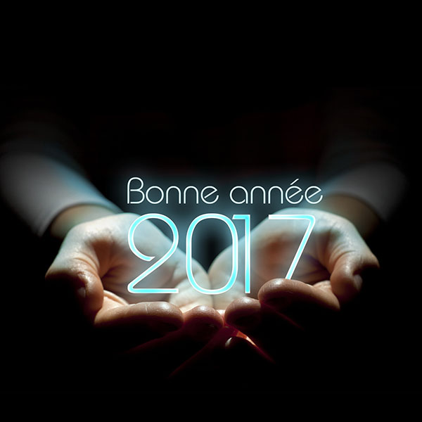 Les équipes SME vous souhaitent une bonne année 2017 !
